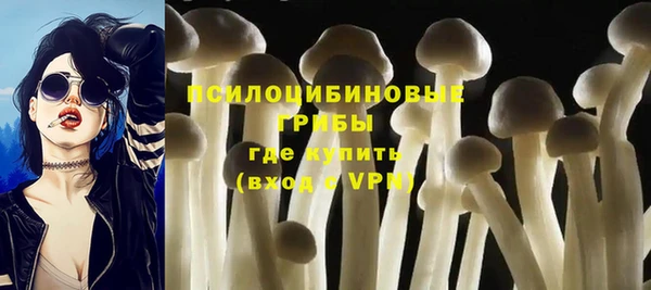бутират Алексин