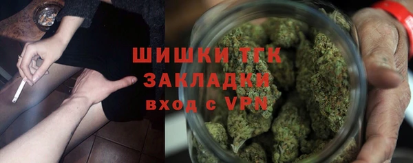 гидра Алзамай