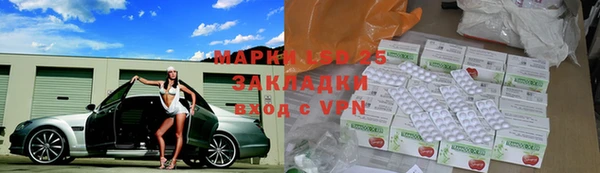 гидра Алзамай