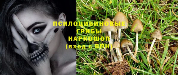 бутират Алексин