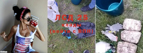 гидра Алзамай