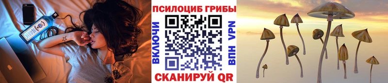 как найти закладки  Мантурово  Псилоцибиновые грибы MAGIC MUSHROOMS 